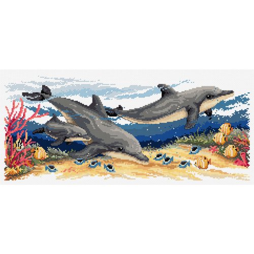 (image for) Dolphins
